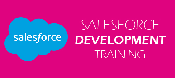 Salesforce Developer Training