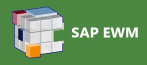 sap-ewm-training