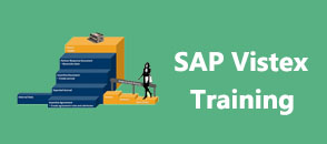 sap-vistex-training