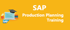 sap-pp-training